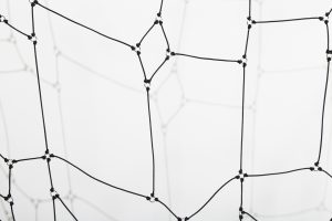 Black Widow (detail)