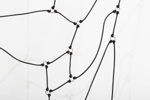 Black Widow (detail)