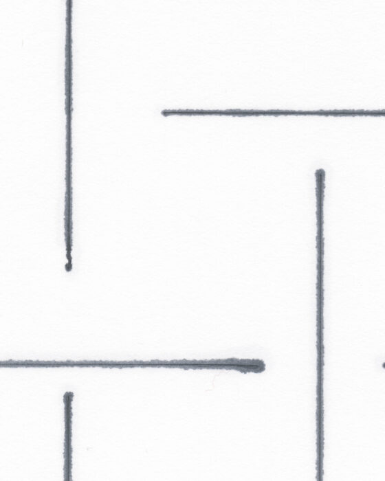 Daniel G. Hill, Incision Drawing 3b (detail), 2025